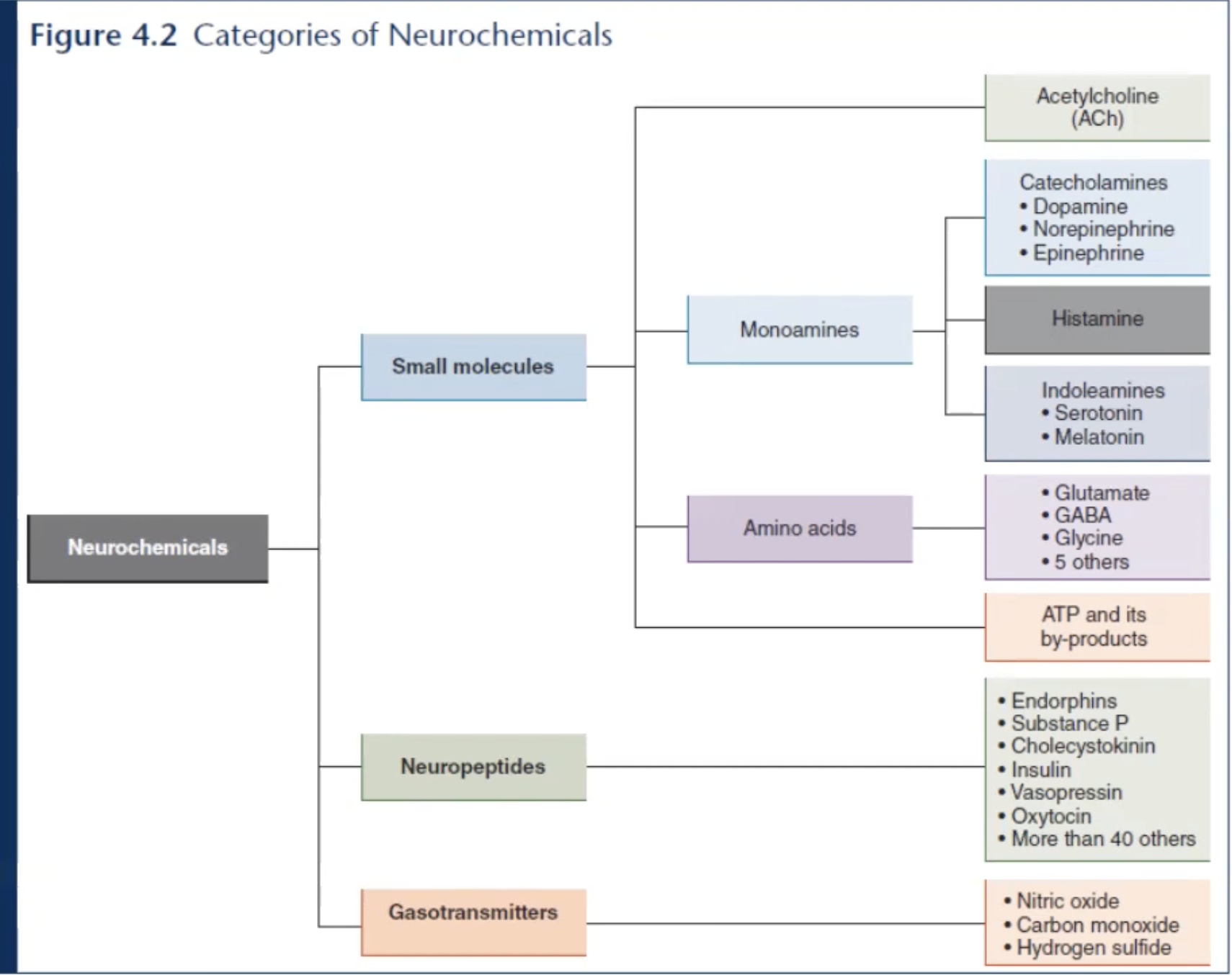 Categories of Neurochemicals.png