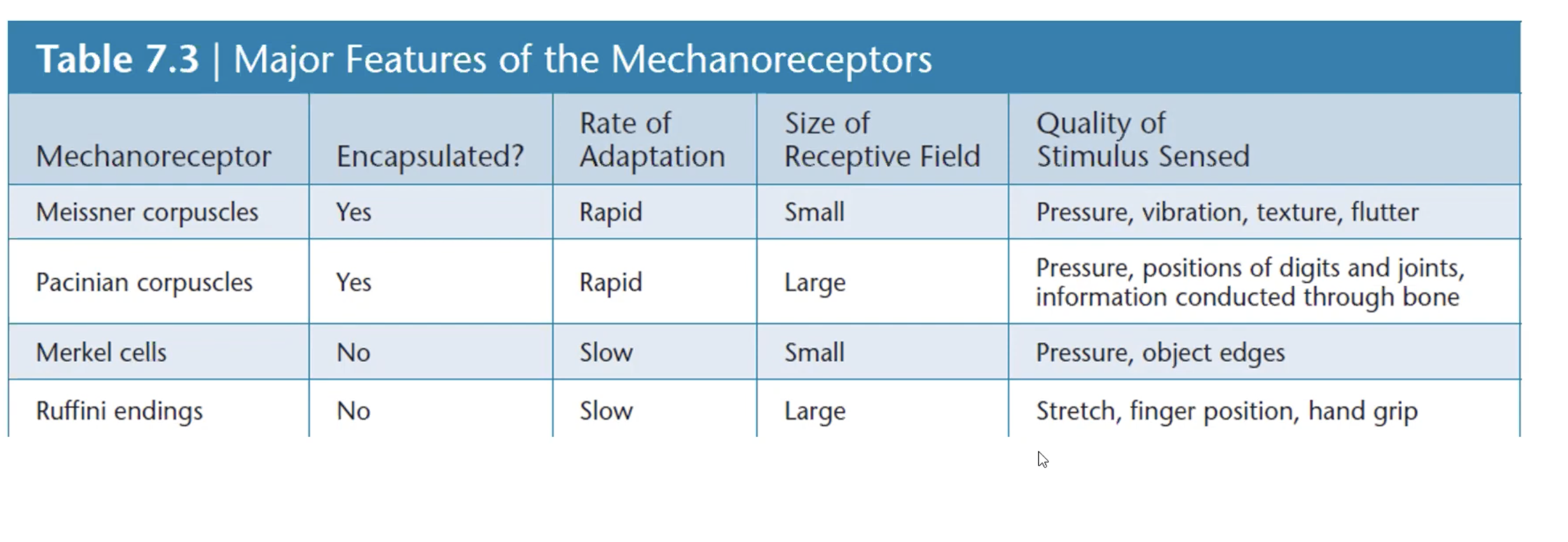 Major Features of the Machanoreceptors.png
