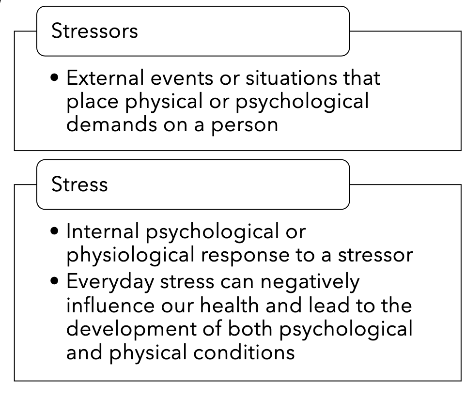 Pasted image 20250121161334.png