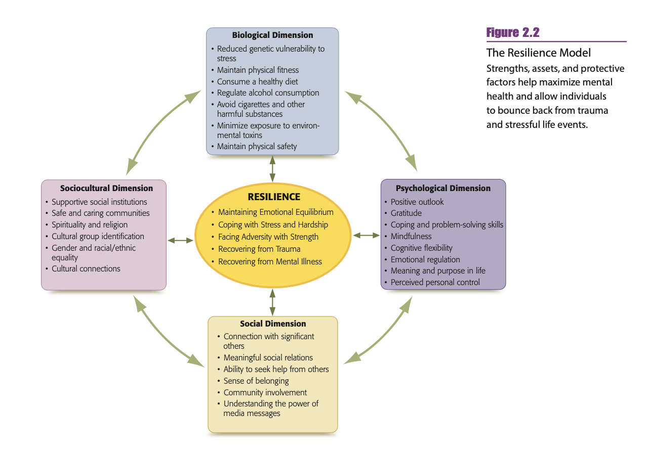 The Resilience Model.png